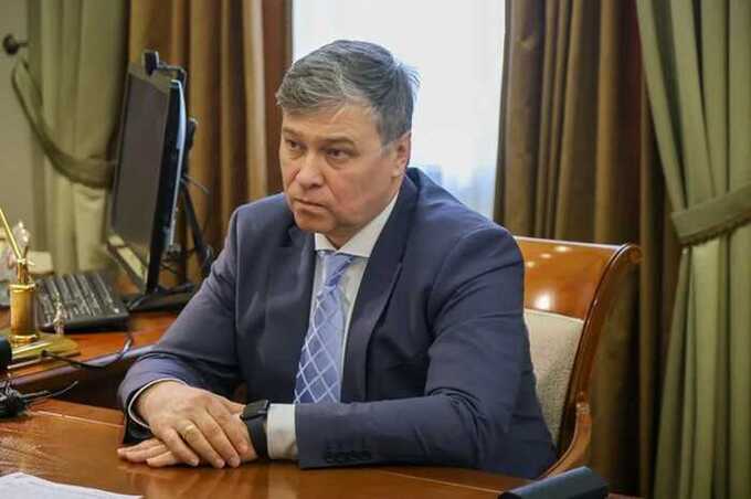 Segezha Group при Александре Крещенко завершает год с убытками и долгами