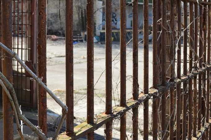 Deaths and Hunger Strikes Spark Outrage Over Egypt’s Prison Conditions